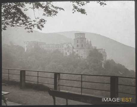 Château (Heidelberg)
