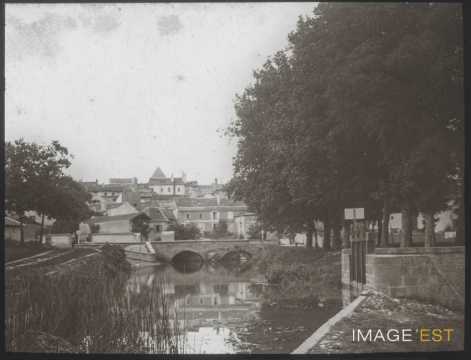 Le Madon (Mirecourt)