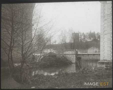 Viaduc et donjon (Passavant-la-Rochère)