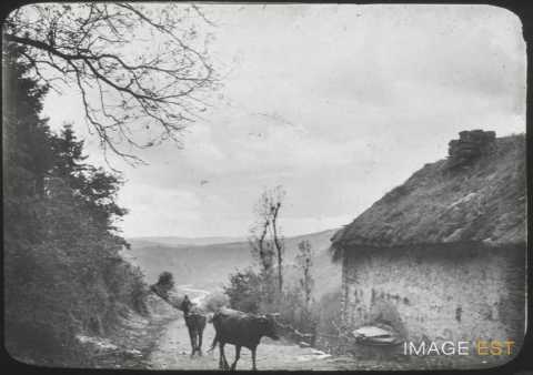 Route de campagne (Luxembourg)