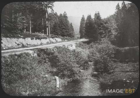 Chemin de forêt (Abreschwiller)