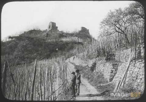 Château de l'Engelbourg (Thann)