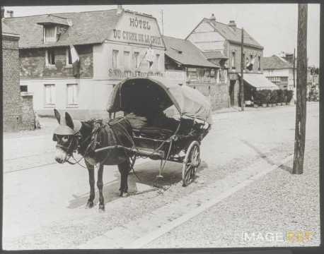 Calèche (Rouen)