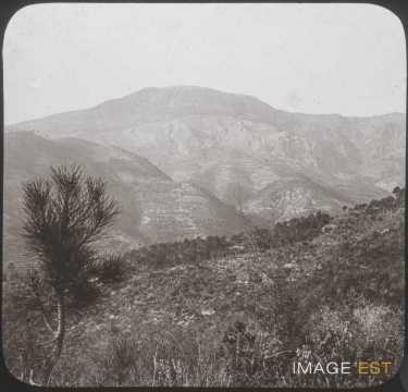 Vallée de Gorbio (Sainte-Agnès)