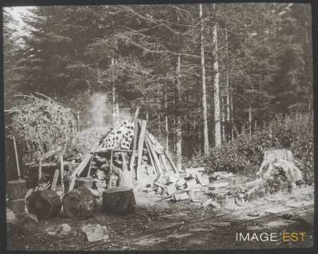 Hutte de sabotiers (La Bresse)