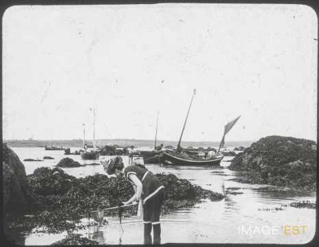 Pêche à la crevette (Saint-Quay-Portrieux)