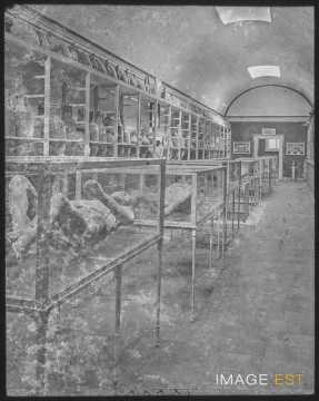 Musée (Pompéi)