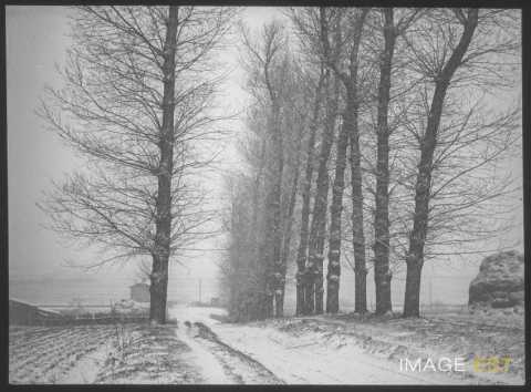 Chemin enneigé (Blainville-sur-l'Eau)