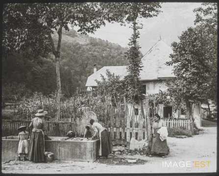 Fontaine (Chambéry)
