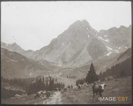 Col du Bonhomme (Beaufort-sur-Doron)