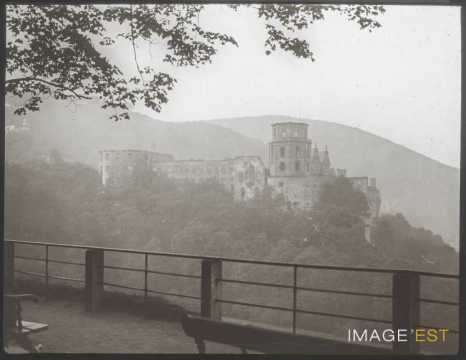 Château (Heidelberg)