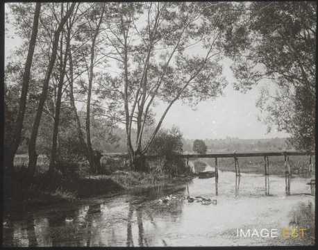 Ruisseau la Rochotte (Pierre-la-Treiche)