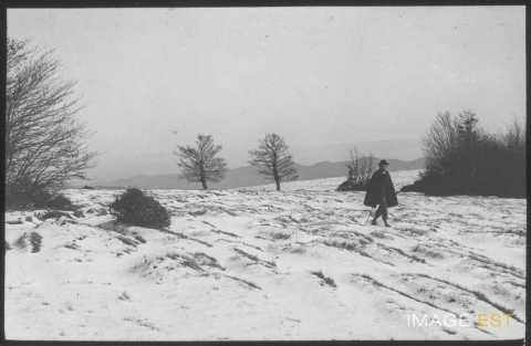 Sommet du Hohneck (La Bresse)
