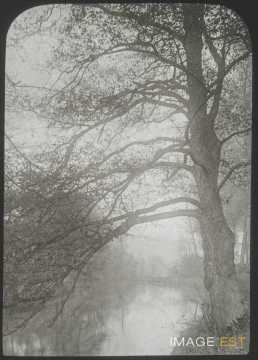 Cours d'eau (Longuyon)