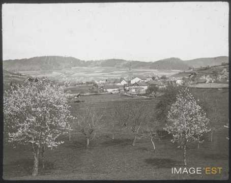 Tendon (Vosges)