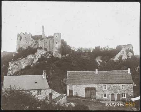 Château de Montaigle (Onhaye)