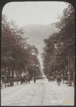 Allée