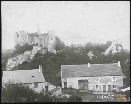 Château de Montaigle (Onhaye)