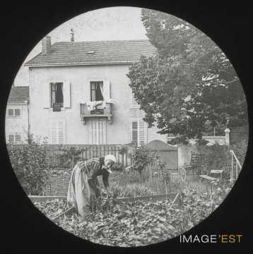 Potager (Malzéville)