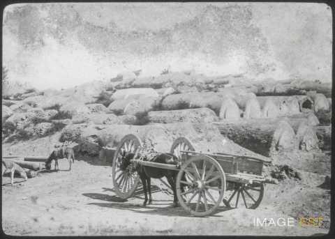 Cimetière (Boukhara)