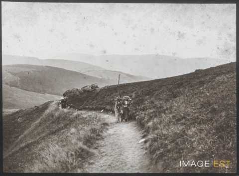 Sommet du Hohneck (La Bresse)