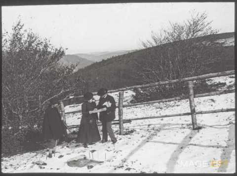 Jardin d'altitude du Haut-Chitelet (Xonrupt-Longemer)