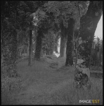 Allée du cimetière (Marville)