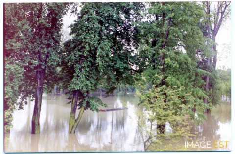 Parc de la Pépinière inondé (Nancy)