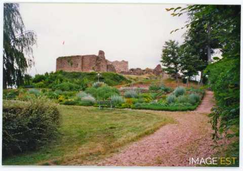 Ruines de château (Épinal)