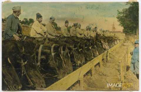 Chevaux à l'abreuvoir