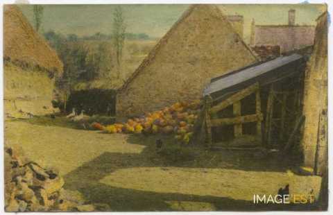 Cour d'une ferme