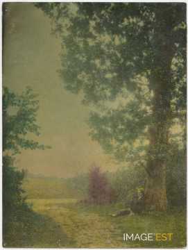 André Schaeffer adossé à un arbre
