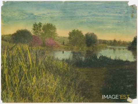 Paysage au bord d'un étang