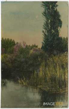 Cours d'eau