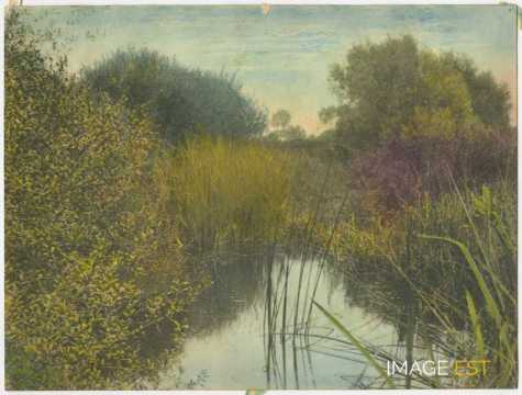 Cours d'eau