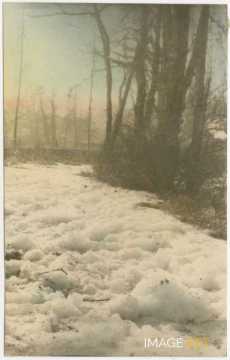 Paysage sous la neige