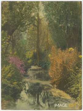 Ruisseau en forêt