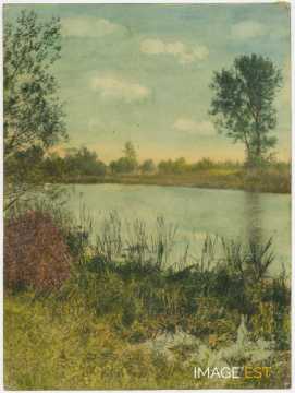 Étang