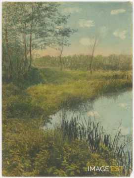 Étang