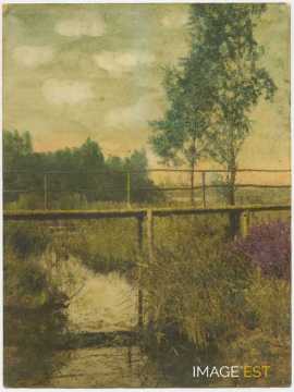 Passerelle sur un cours d'eau