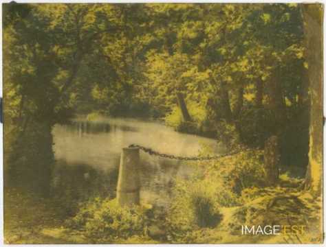 Cours d'eau