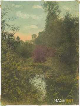 Paysage au bord de l'eau