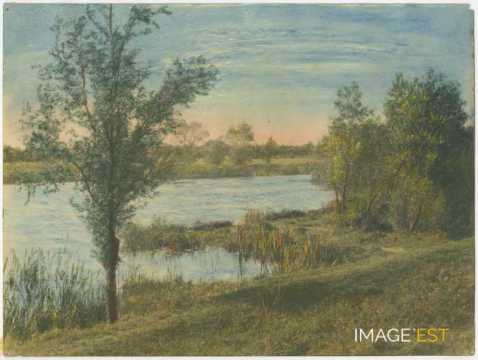 Paysage au bord d'un cours d'eau