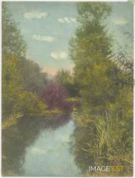 Paysage au bord d'un cours d'eau