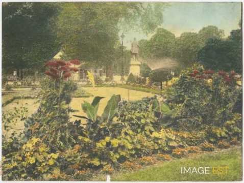 Massif floral