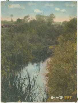 Paysage au bord d'un cours d'eau