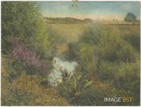Paysage au bord d'un cours d'eau
