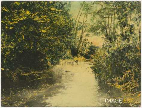 Ruisseau en forêt