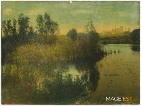 Paysage au bord d'un étang