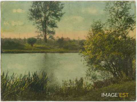 Paysage au bord d'un cours d'eau